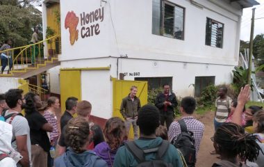 Honey Care, Social Enterprise, Kenya
