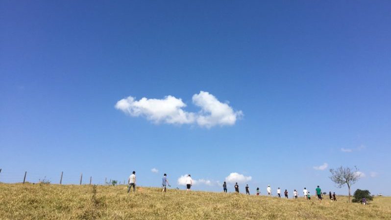 Amani Fellows Blue Sky