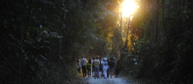 Intrapreneurs need allies